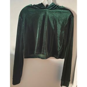 Forever 21 Velvet Cropped Hoodie